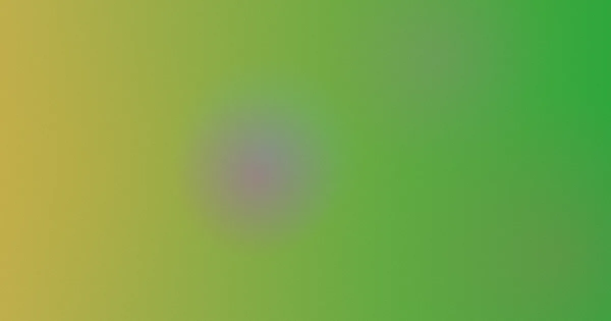 黄色录象片攻略：别踩坑版